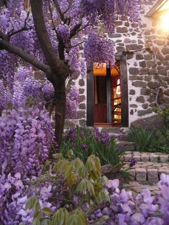Chambre D'Hotes Et Gites Du Tapissier Polignac  Экстерьер фото